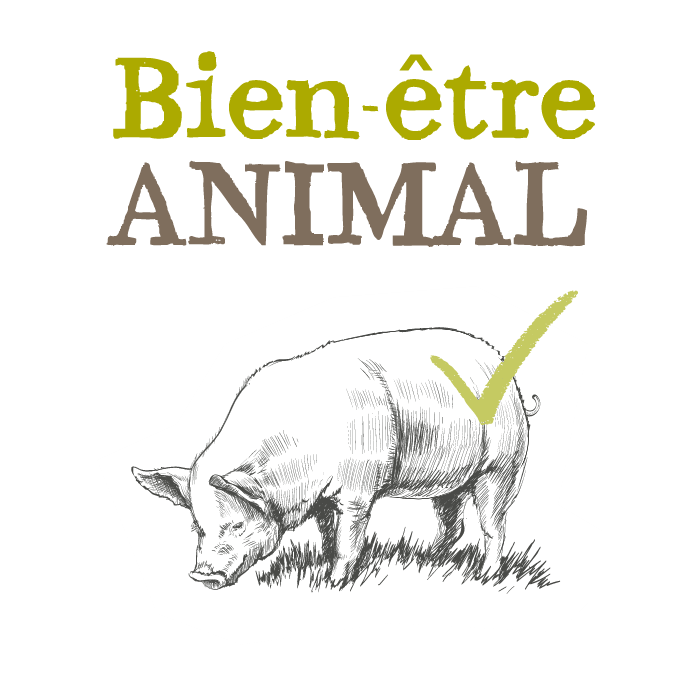 benessere_FR(0)