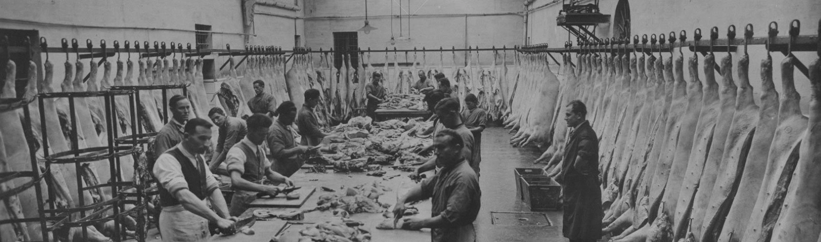 history-banner