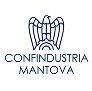 logo_ConfindustriaMantova